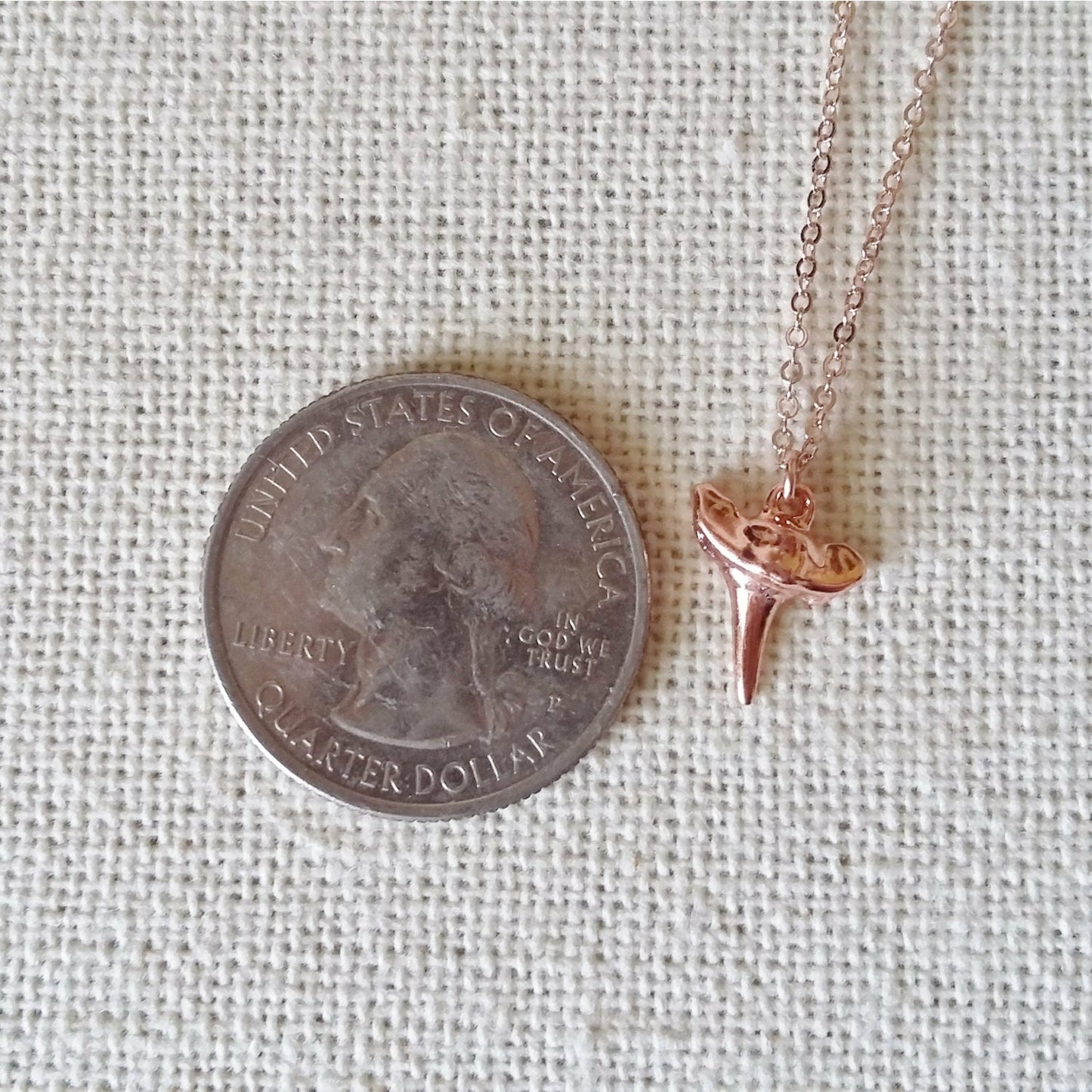 Shark Tooth Necklace, Rose Gold Shark Tooth Necklace, Layered Necklaces, Layering Necklace, Nautical Necklace, Nautical Jewelry, Rose Gold