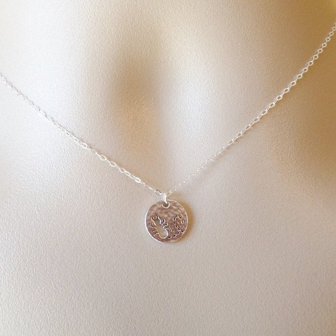 Bug Necklace - Silver Disc Necklace, Ant Disc Charm Necklace, Ant Necklace - Silver Ant Necklace - Mothers Day Gift